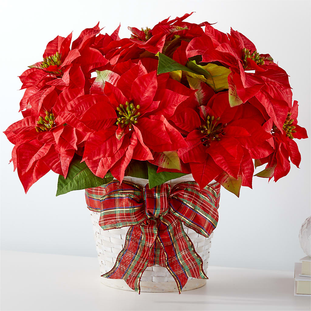 Happiest Holidays Poinsettia – Rhea Flower Shop, Toronto ON