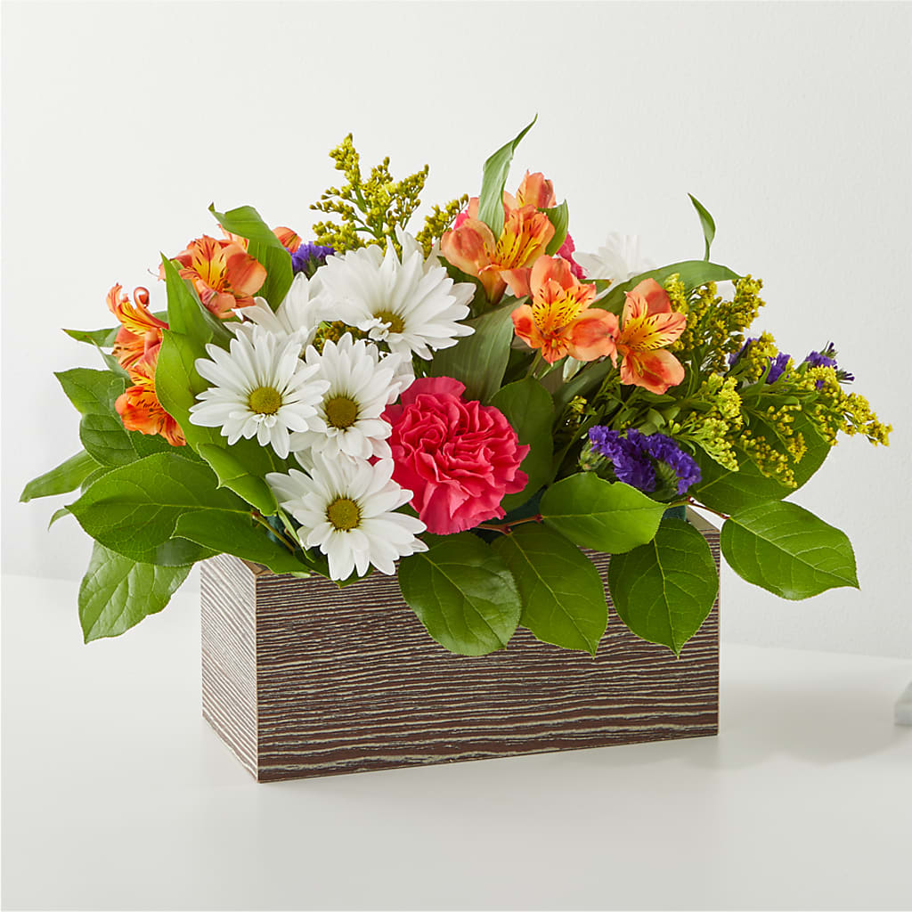 Oopsie Daisy Box Bouquet – Rhea Flower Shop, Toronto ON