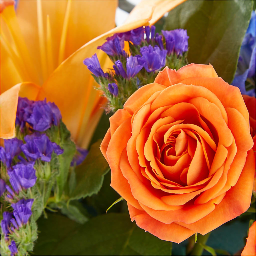 Radiant Citrus Box Bouquet – Rhea Flower Shop, Toronto ON
