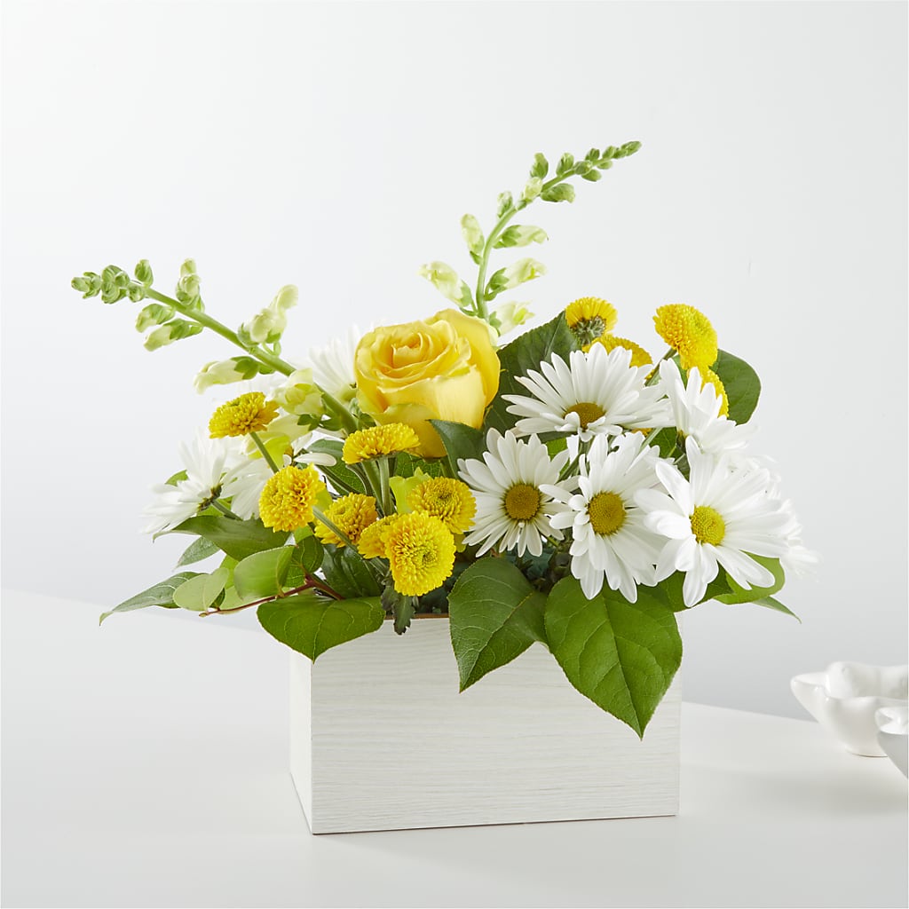 Sun Salutation Box Bouquet – Rhea Flower Shop, Toronto ON