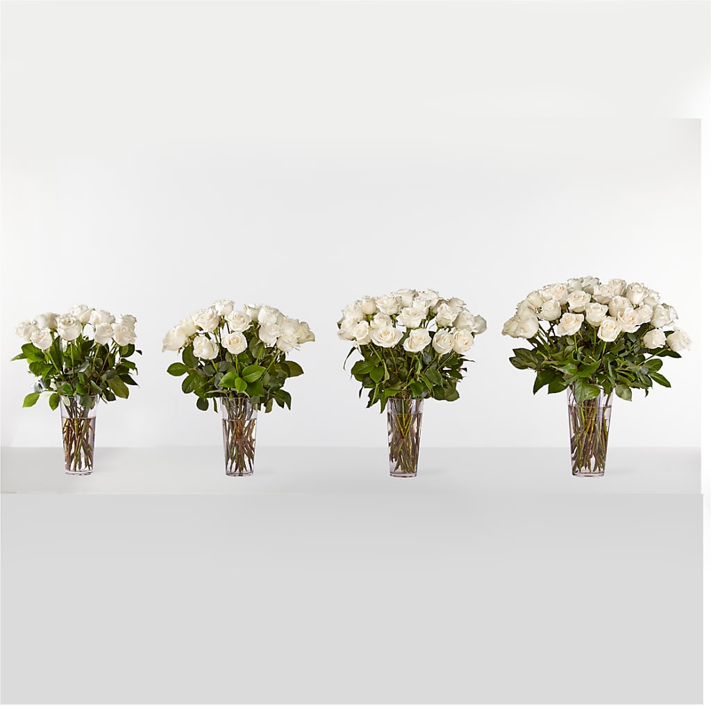 Long Stem White Rose Bouquet – Rhea Flower Shop, Toronto ON