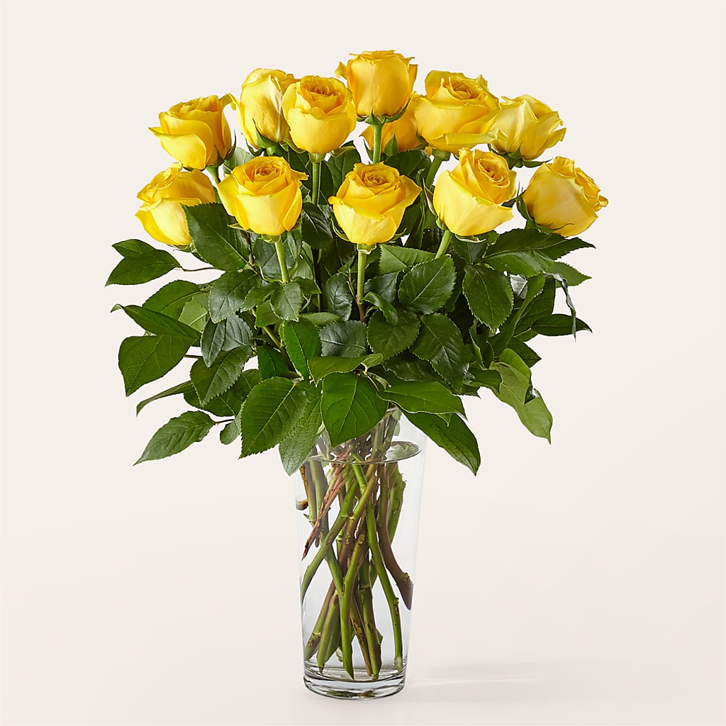 Long Stem Yellow Rose Bouquet – Rhea Flower Shop, Toronto ON