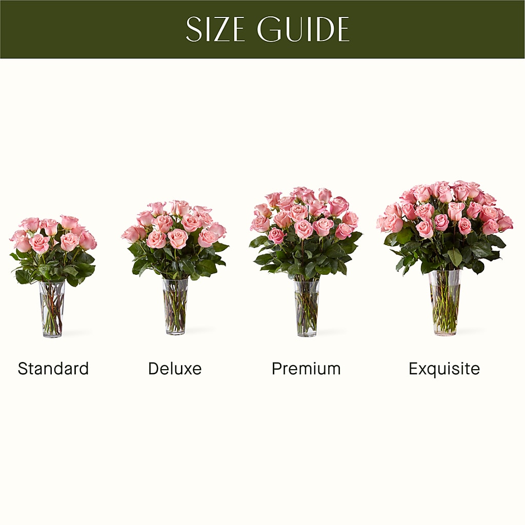 Long Stem Pink Rose Bouquet – Rhea Flower Shop, Toronto ON