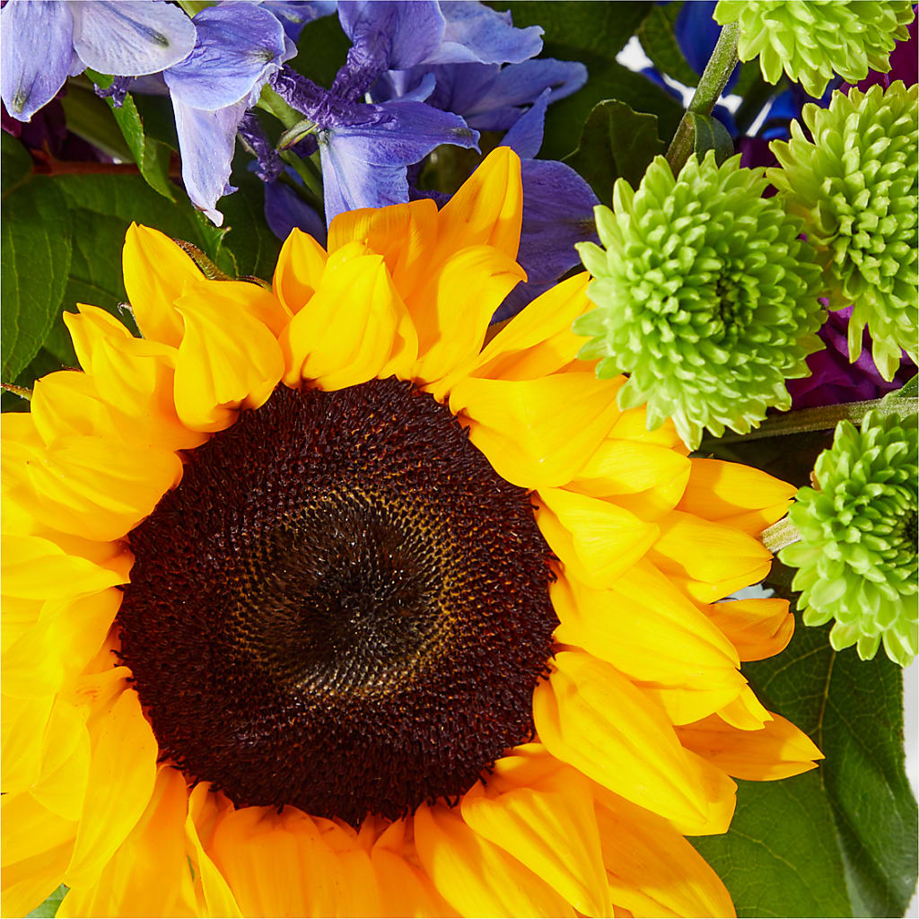 Catching Rays Bouquet – Rhea Flower Shop, Toronto ON