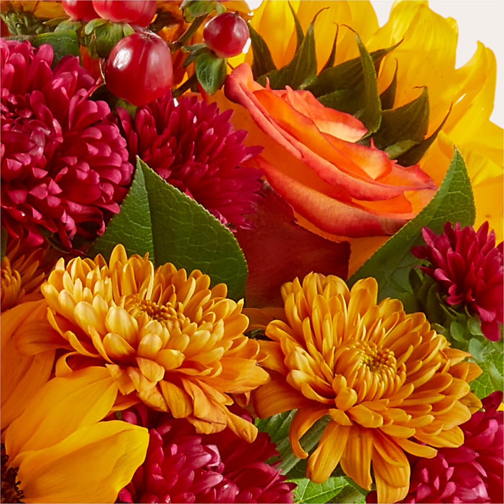 Sweater Season - A Florist Original – Rhea Flower Shop, Toronto ON