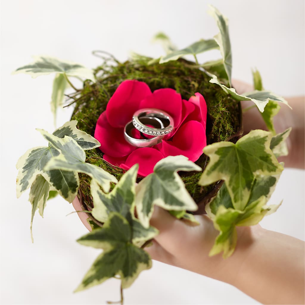Lila Rose Ring Nest – Rhea Flower Shop, Toronto ON