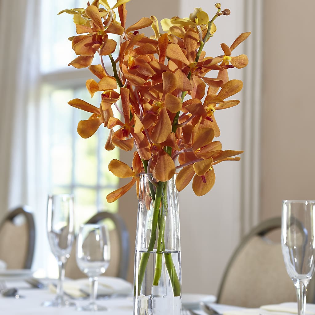 Orange Mokara Bud Vase – Rhea Flower Shop, Toronto ON