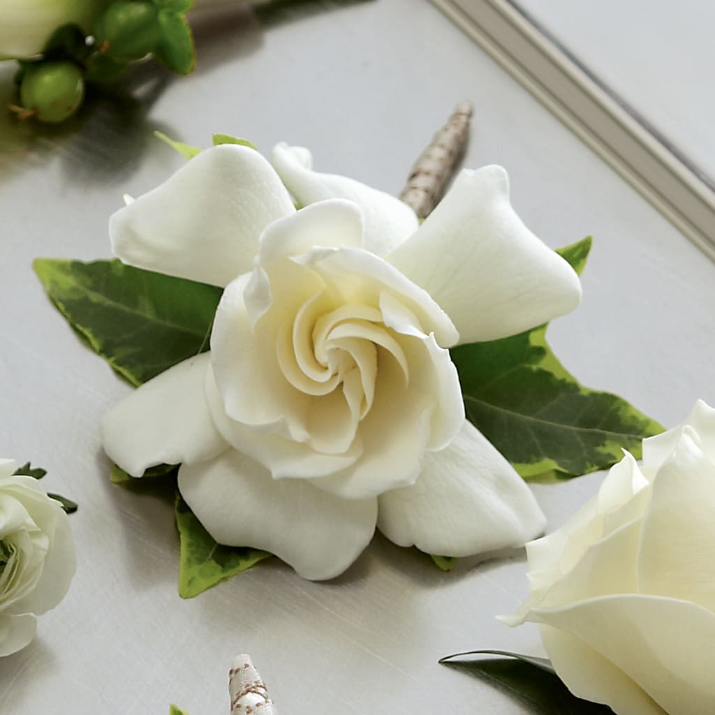 Gardenia Boutonniere – Rhea Flower Shop, Toronto ON