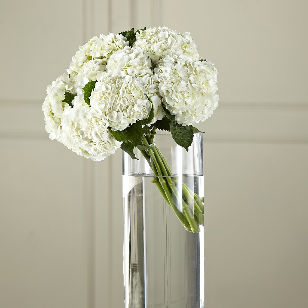 White Hydrangea Hand-Tied Bouquet – Rhea Flower Shop, Toronto ON