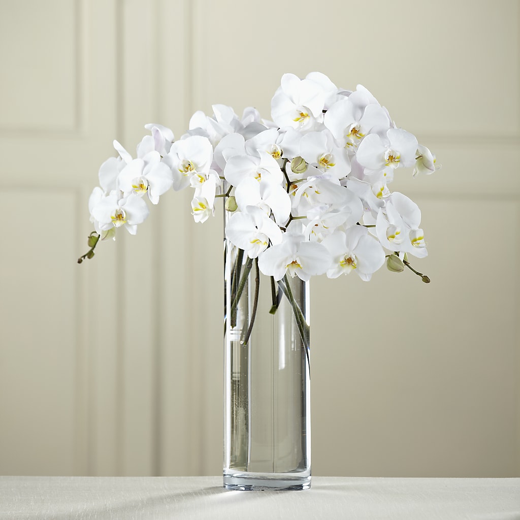 White Phalaenopsis Bouquet – Rhea Flower Shop, Toronto ON
