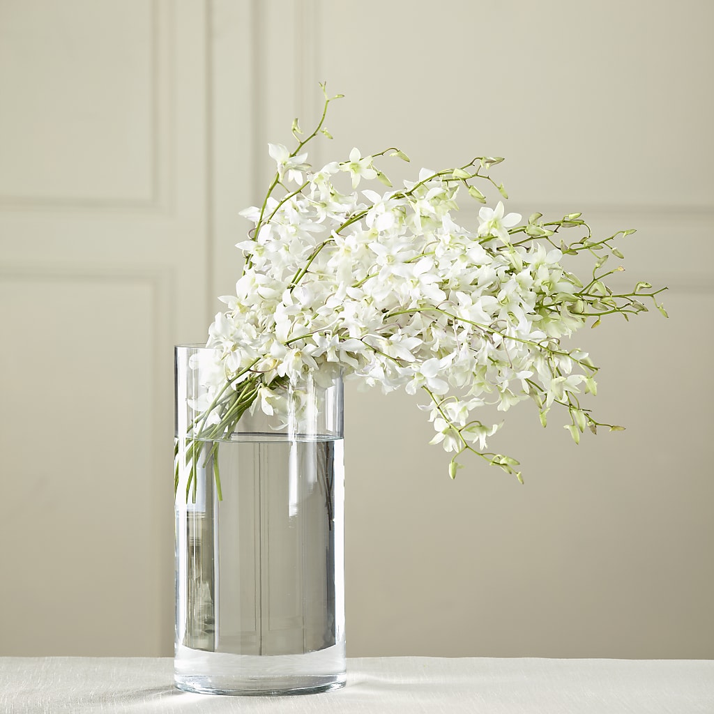 White Dendrobium Bouquet – Rhea Flower Shop, Toronto ON