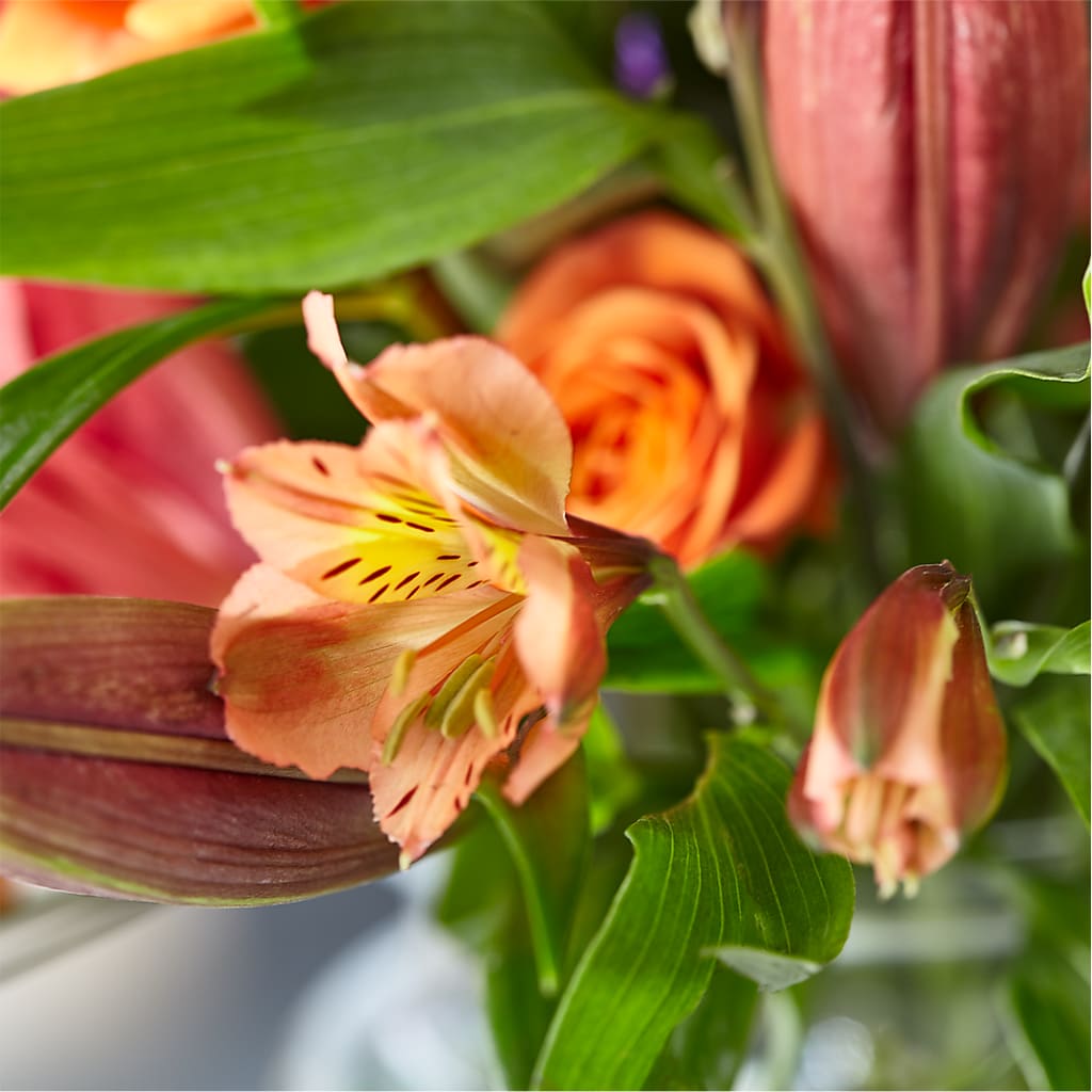 Bold & Bright – A Florist Original –  Rhea Flower Shop, Toronto ON