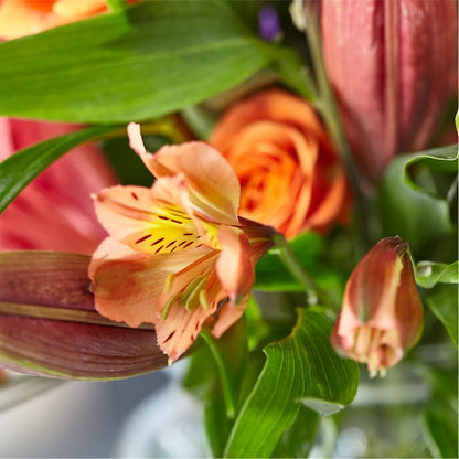 Bold & Bright – A Florist Original –  Rhea Flower Shop, Toronto ON