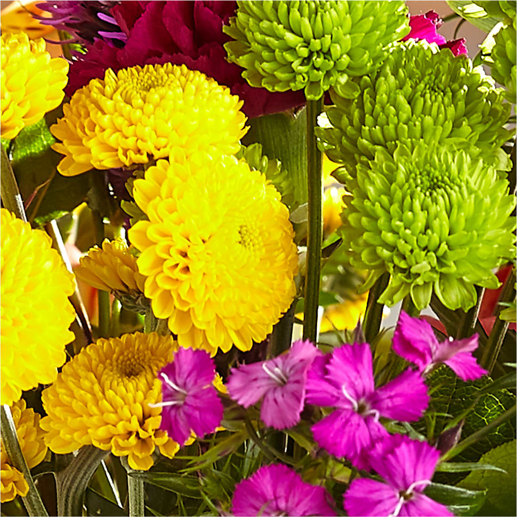 Bold & Bright – A Florist Original –  Rhea Flower Shop, Toronto ON