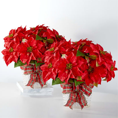 Happiest Holidays Poinsettia Bundle –  Rhea Flower Shop, Toronto ON