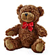 Adorable Plush Bear –  Rhea Flower Shop, Toronto ON