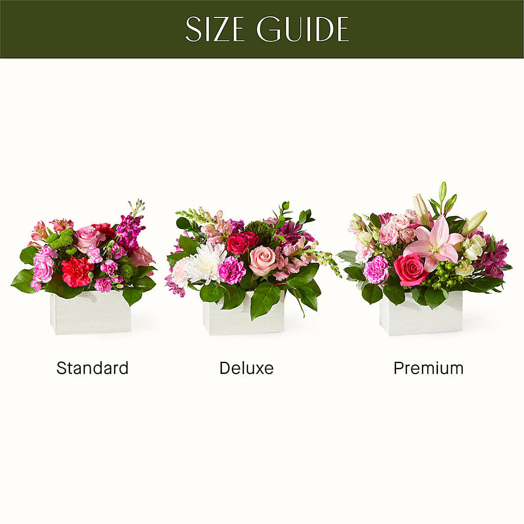 Sweetberry Box – A Florist Original –  Rhea Flower Shop, Toronto ON