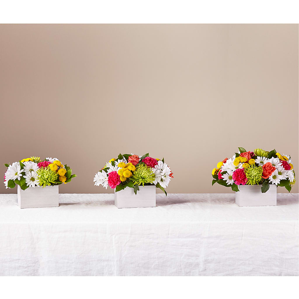 Sorbet Bouquet –  Rhea Flower Shop, Toronto ON
