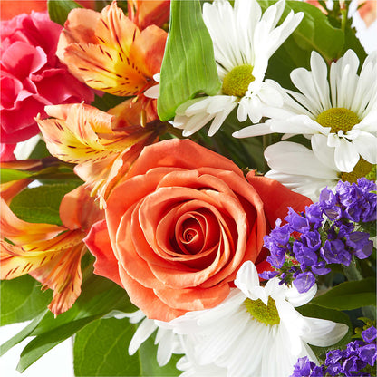 Oopsie Daisy Box Bouquet –  Rhea Flower Shop, Toronto ON