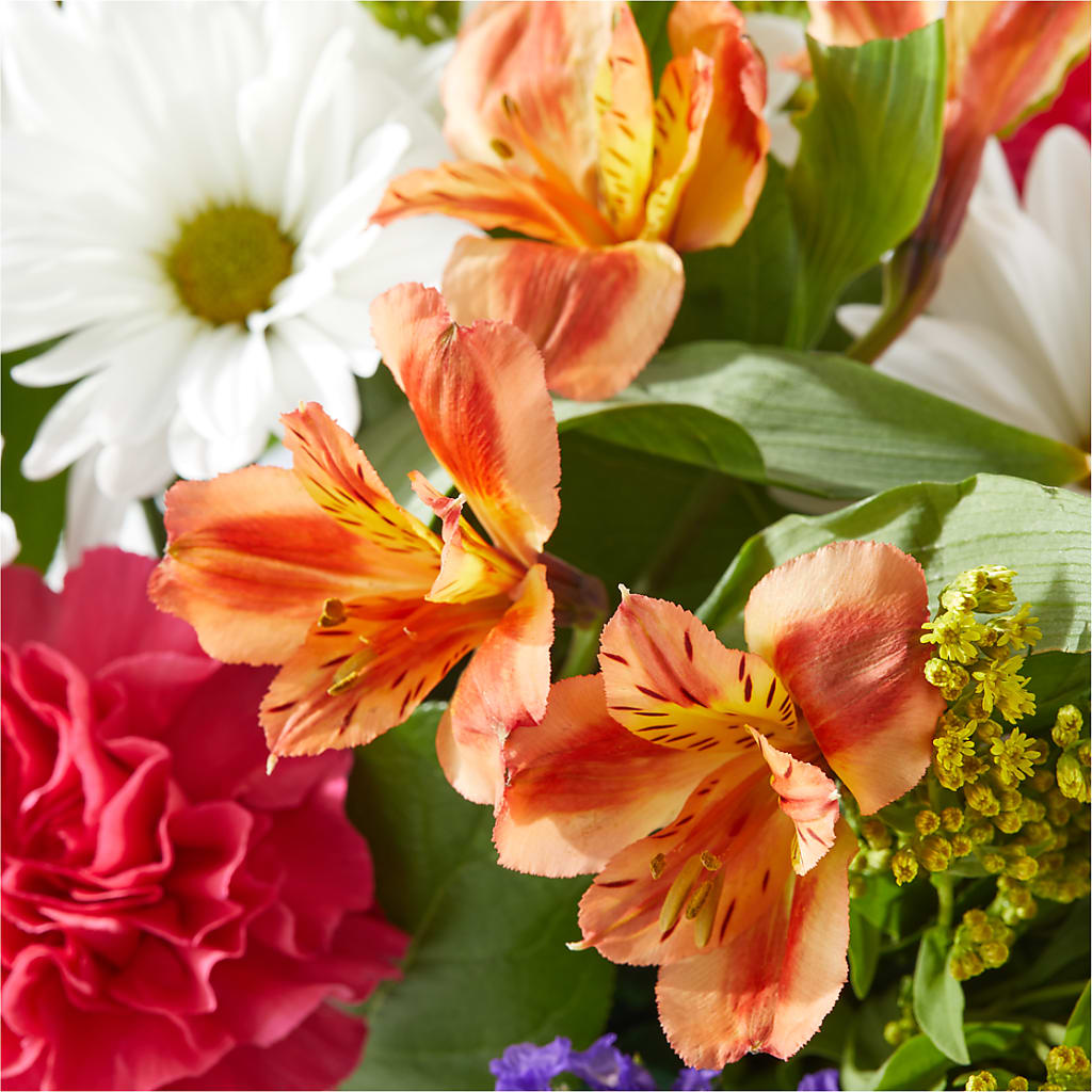 Oopsie Daisy Box Bouquet –  Rhea Flower Shop, Toronto ON