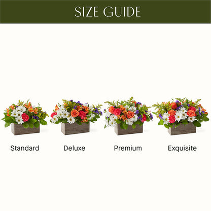 Oopsie Daisy Box Bouquet –  Rhea Flower Shop, Toronto ON