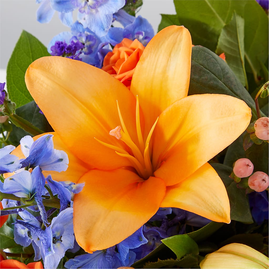 Radiant Citrus Box Bouquet –  Rhea Flower Shop, Toronto ON
