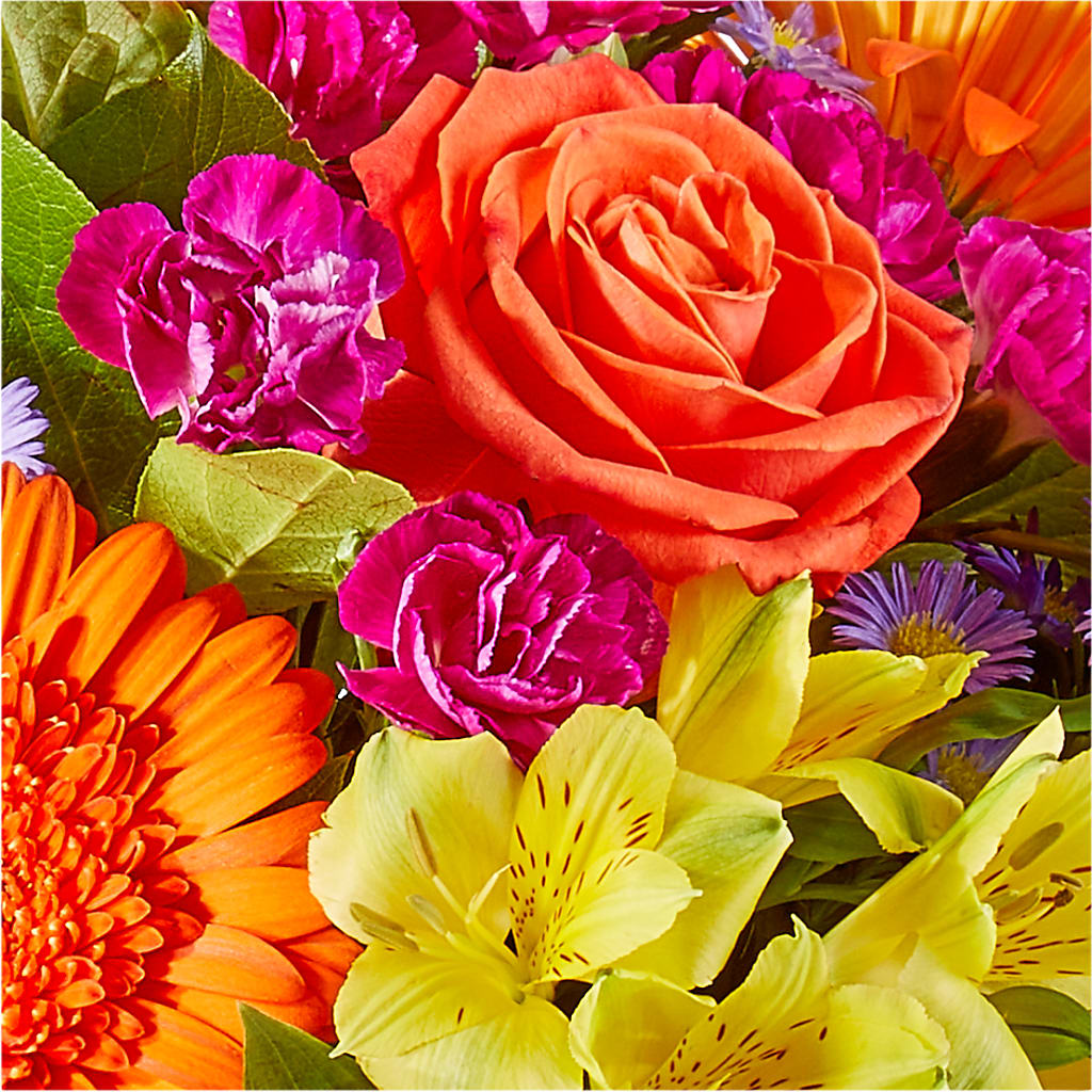 Tricks & Treats Pumpkin –  Rhea Flower Shop, Toronto ON