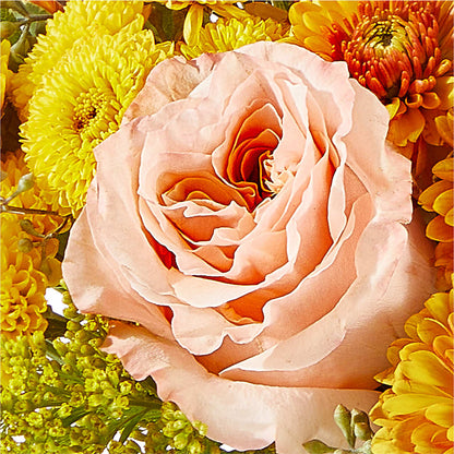 Peachy Pumpkin –  Rhea Flower Shop, Toronto ON