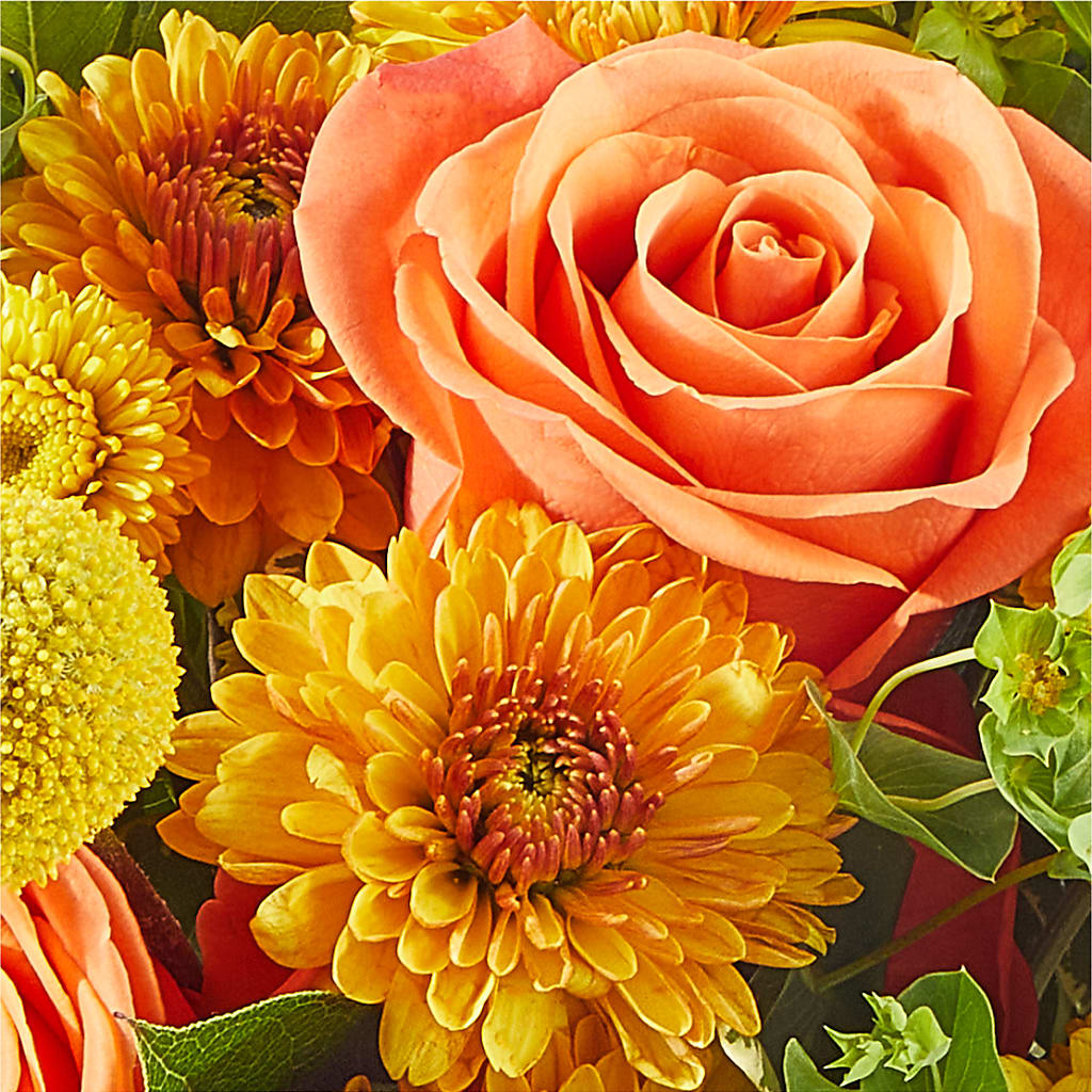 Gourdgeous Pumpkin –  Rhea Flower Shop, Toronto ON