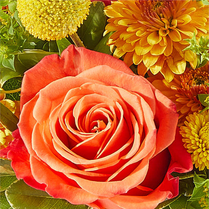 Gourdgeous Pumpkin –  Rhea Flower Shop, Toronto ON