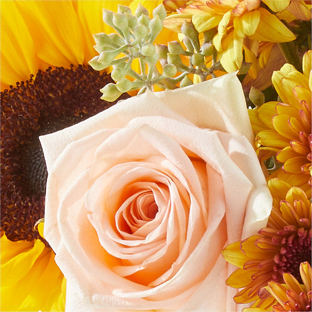 Pumpkin to Talk About Bouquet –  Rhea Flower Shop, Toronto ON