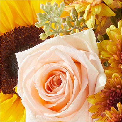 Pumpkin to Talk About Bouquet –  Rhea Flower Shop, Toronto ON
