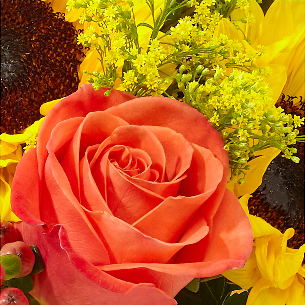 Pick of the Patch Pumpkin Bouquet –  Rhea Flower Shop, Toronto ON