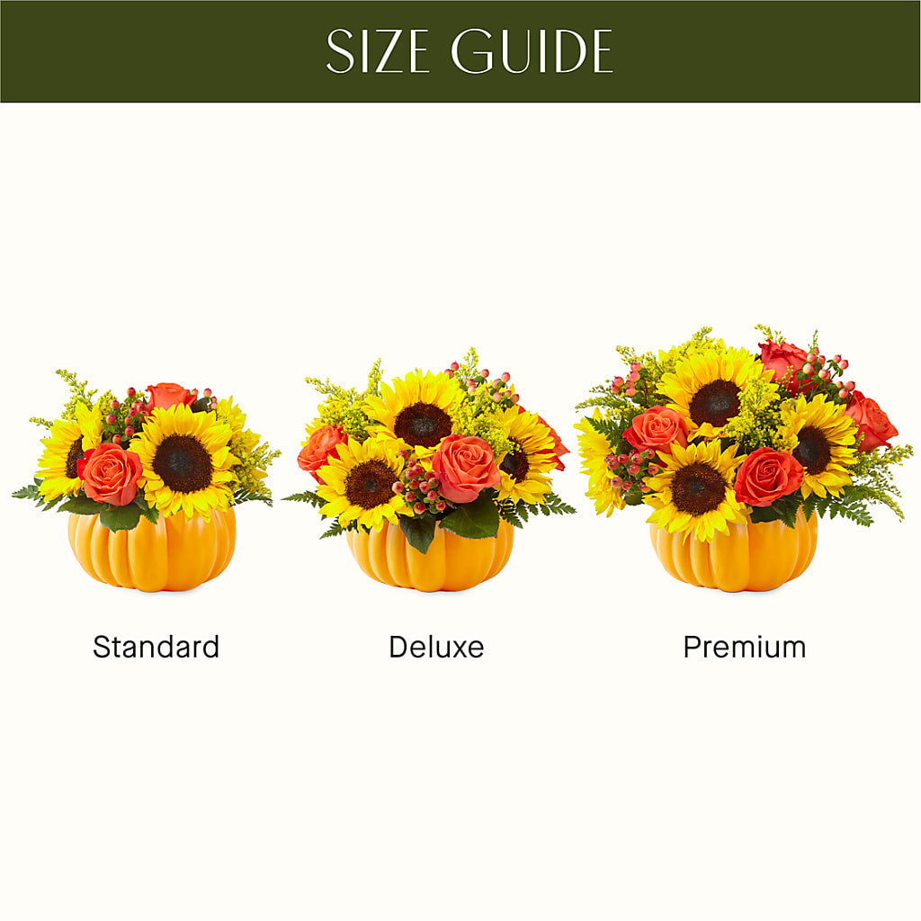 Pick of the Patch Pumpkin Bouquet –  Rhea Flower Shop, Toronto ON