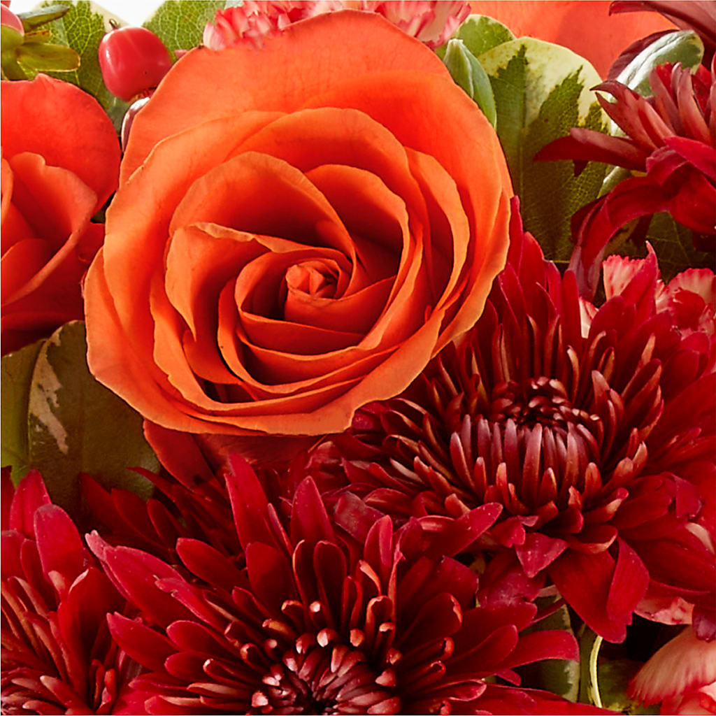 Autumn Air Pumpkin Bouquet –  Rhea Flower Shop, Toronto ON