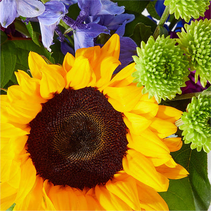 Catching Rays Bouquet –  Rhea Flower Shop, Toronto ON
