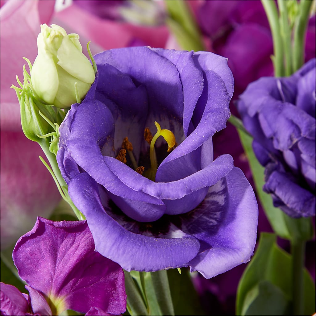 Twilight Glow Bouquet –  Rhea Flower Shop, Toronto ON