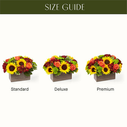 Happy Harvest Garden –  Rhea Flower Shop, Toronto ON