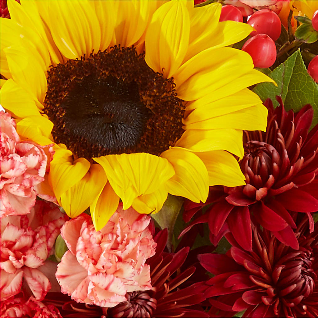 Fresh Cider Bouquet –  Rhea Flower Shop, Toronto ON