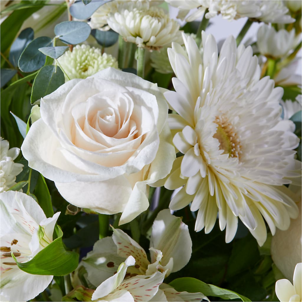 New Beginnings – A Florist Original –  Rhea Flower Shop, Toronto ON