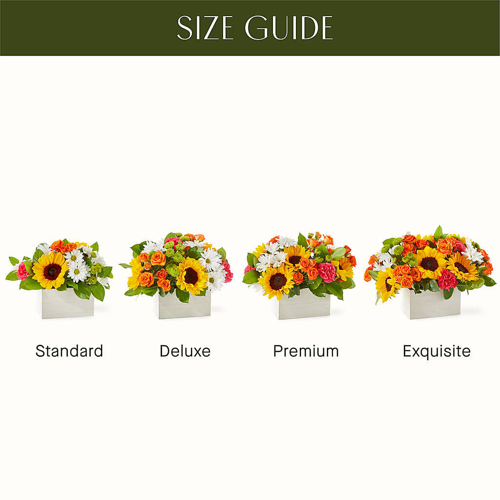 Sun-drenched Blooms Box Bouquet –  Rhea Flower Shop, Toronto ON