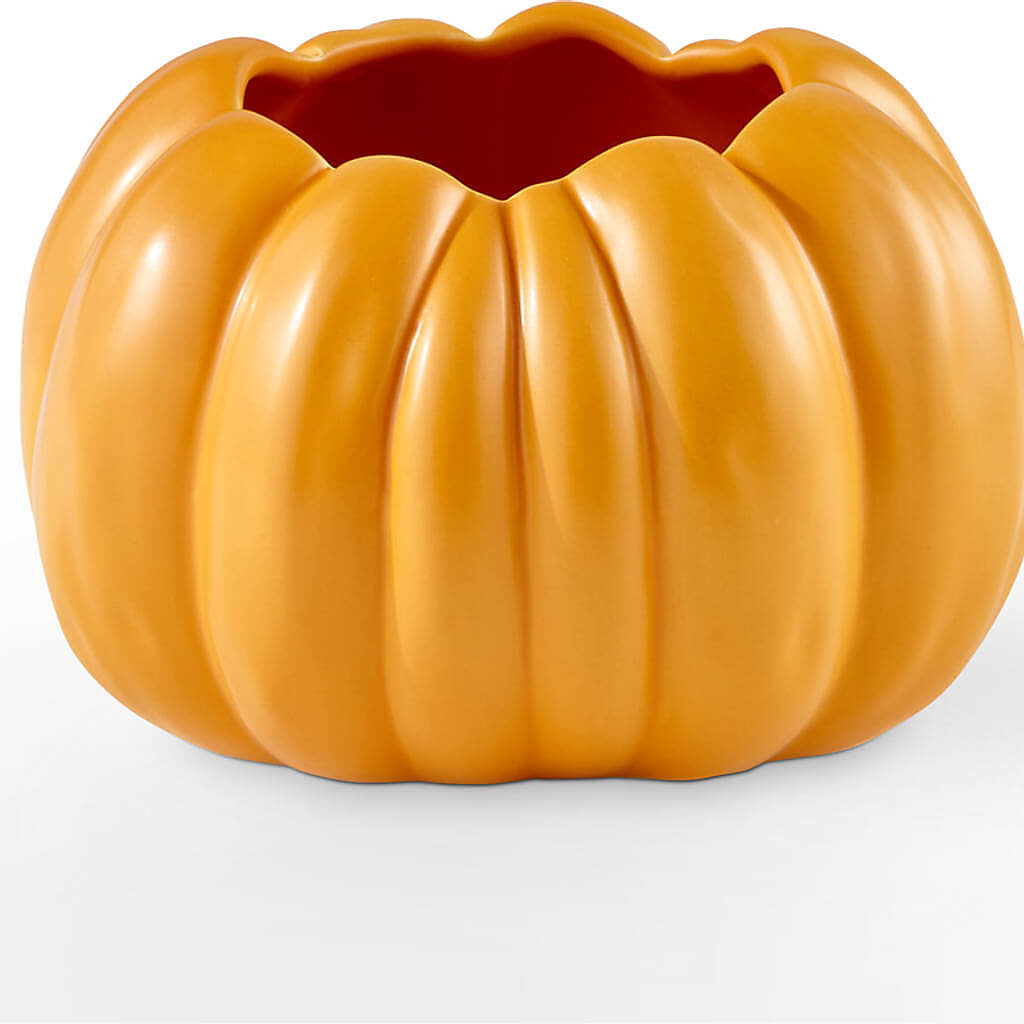 Golden Gourd Pumpkin Bouquet –  Rhea Flower Shop, Toronto ON