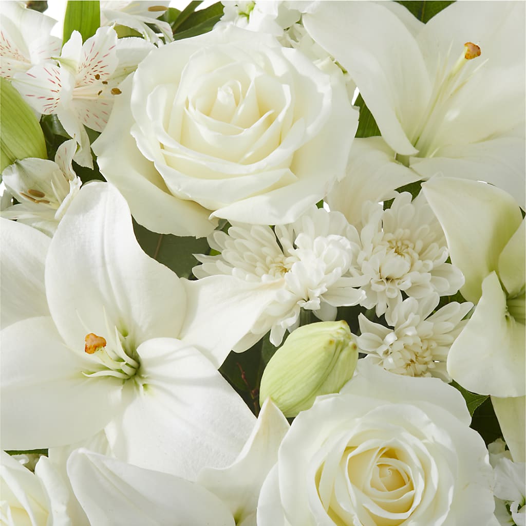 Peaceful Reflections Arrangement –  Rhea Flower Shop, Toronto ON