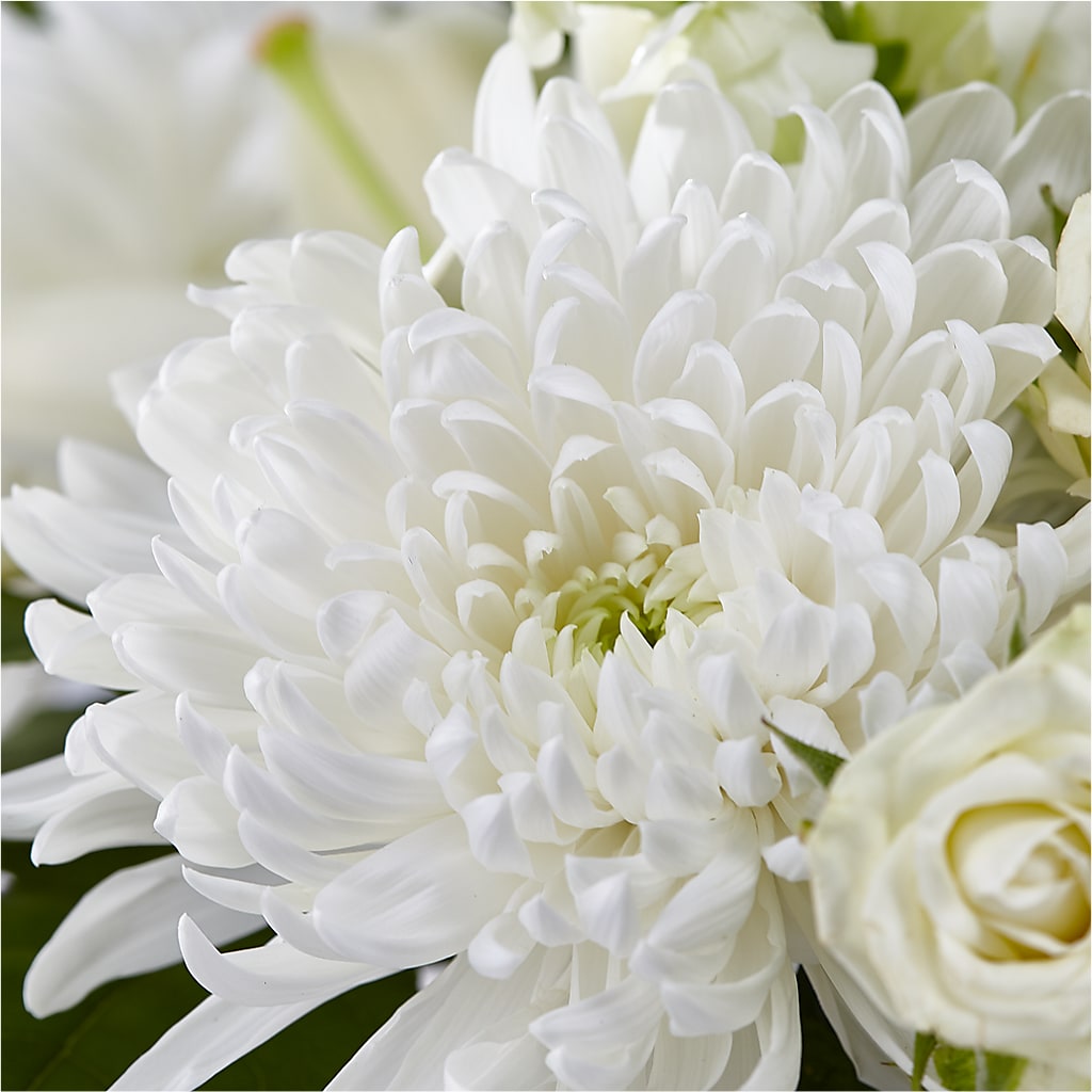 Classic Ivory – A Florist Original –  Rhea Flower Shop, Toronto ON