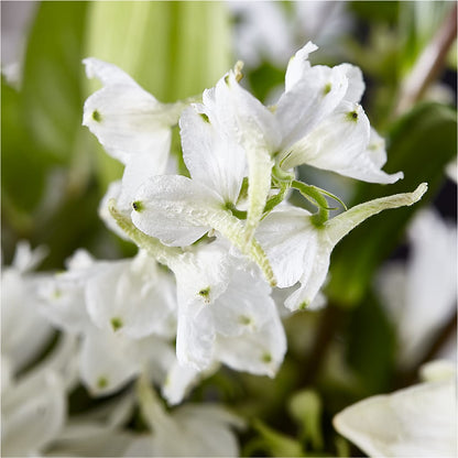 Classic Ivory – A Florist Original –  Rhea Flower Shop, Toronto ON