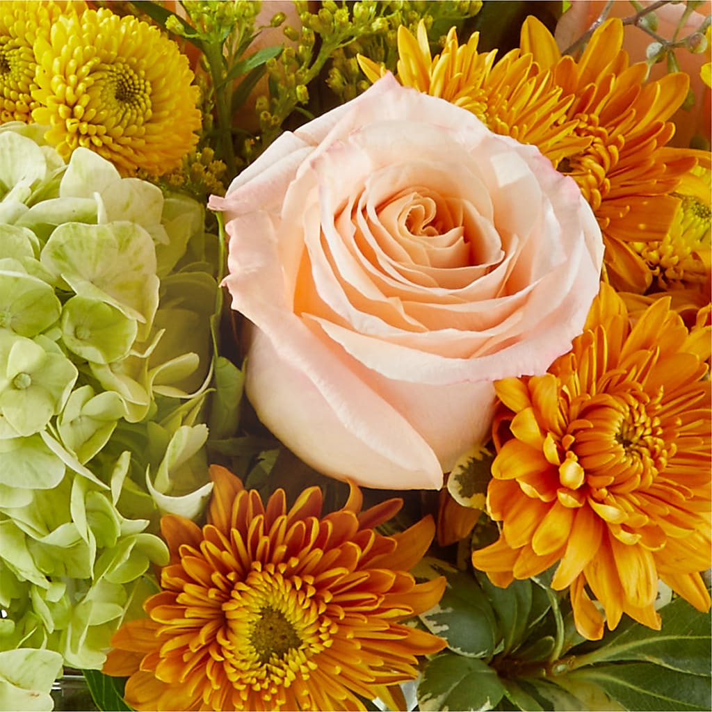 Fall Foliage Bouquet –  Rhea Flower Shop, Toronto ON