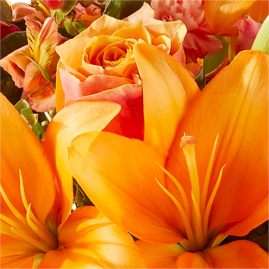 Afternoon Light Bouquet –  Rhea Flower Shop, Toronto ON