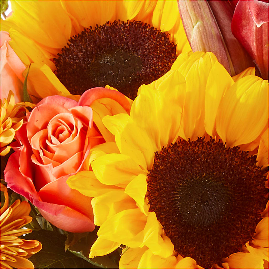 Acorn Lane Bouquet –  Rhea Flower Shop, Toronto ON