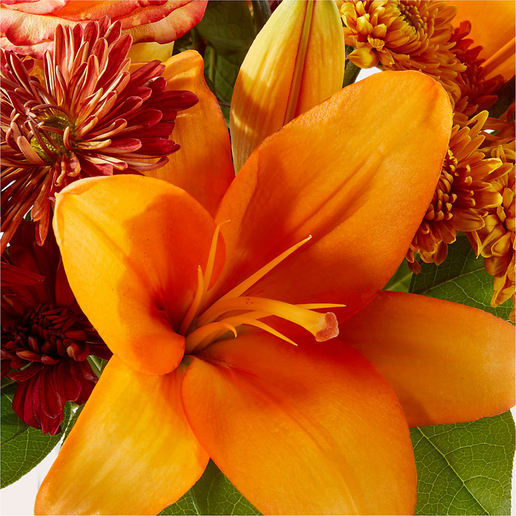 Autumnal Aroma Bouquet –  Rhea Flower Shop, Toronto ON