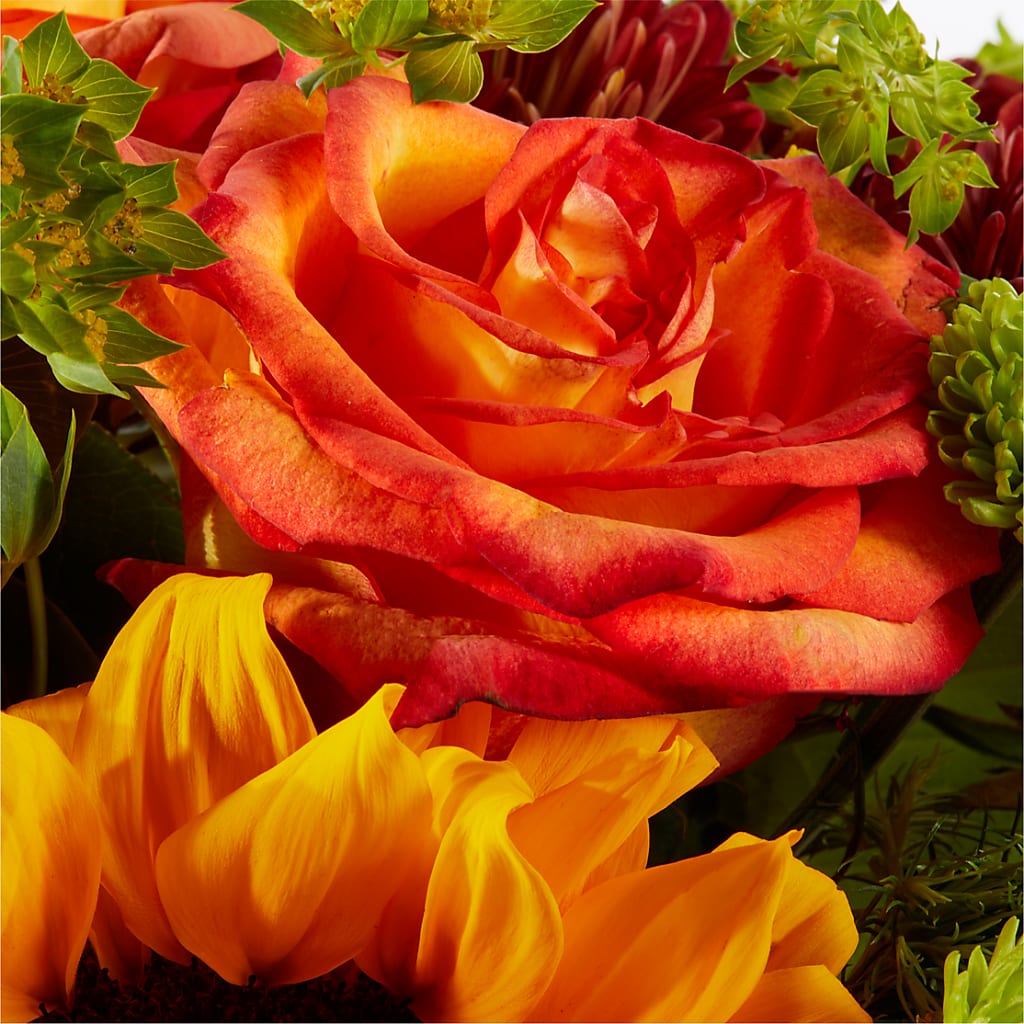 Harvest Festival Bouquet –  Rhea Flower Shop, Toronto ON